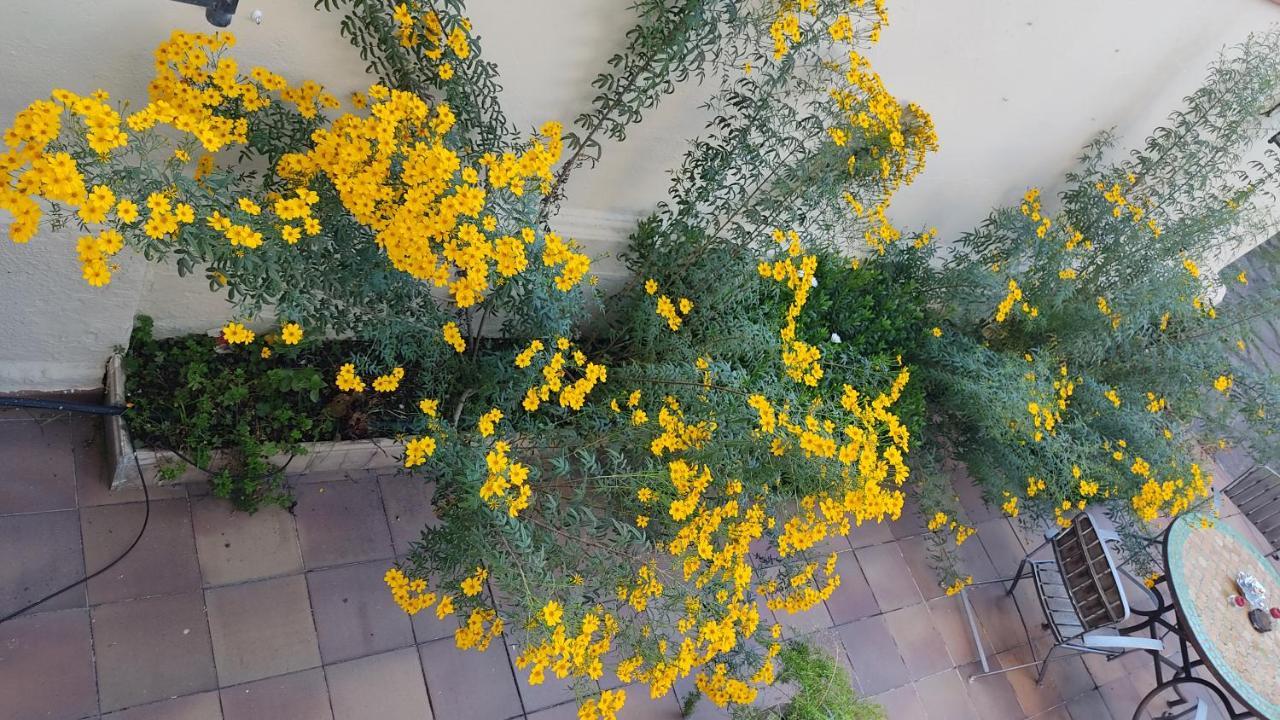 شقة Casa Mo ساباذيل المظهر الخارجي الصورة