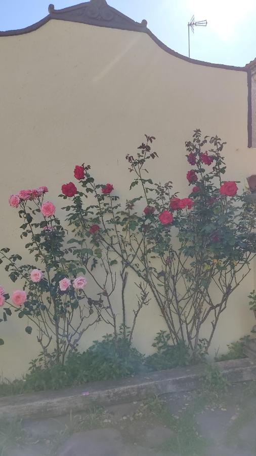 شقة Casa Mo ساباذيل المظهر الخارجي الصورة